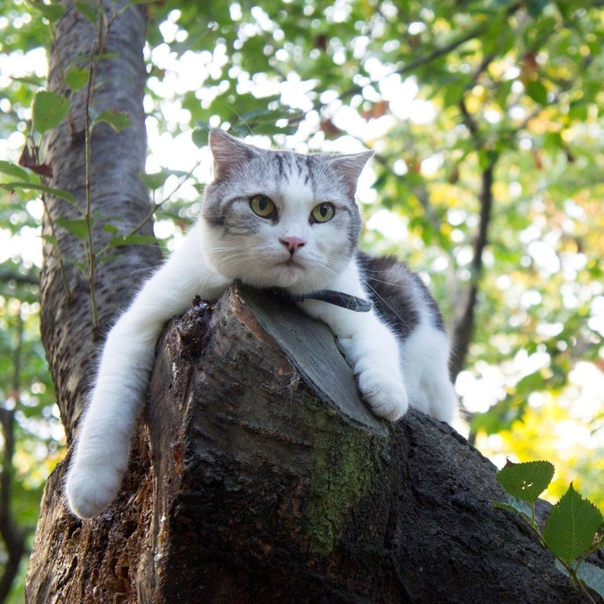 撮影／小森正孝