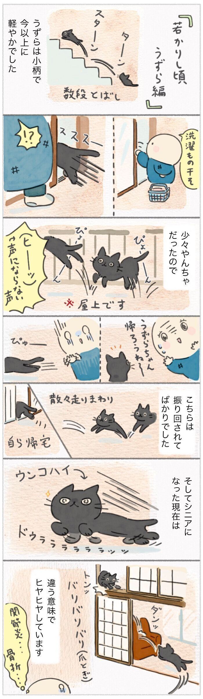 「ねこ連れ草」345話め