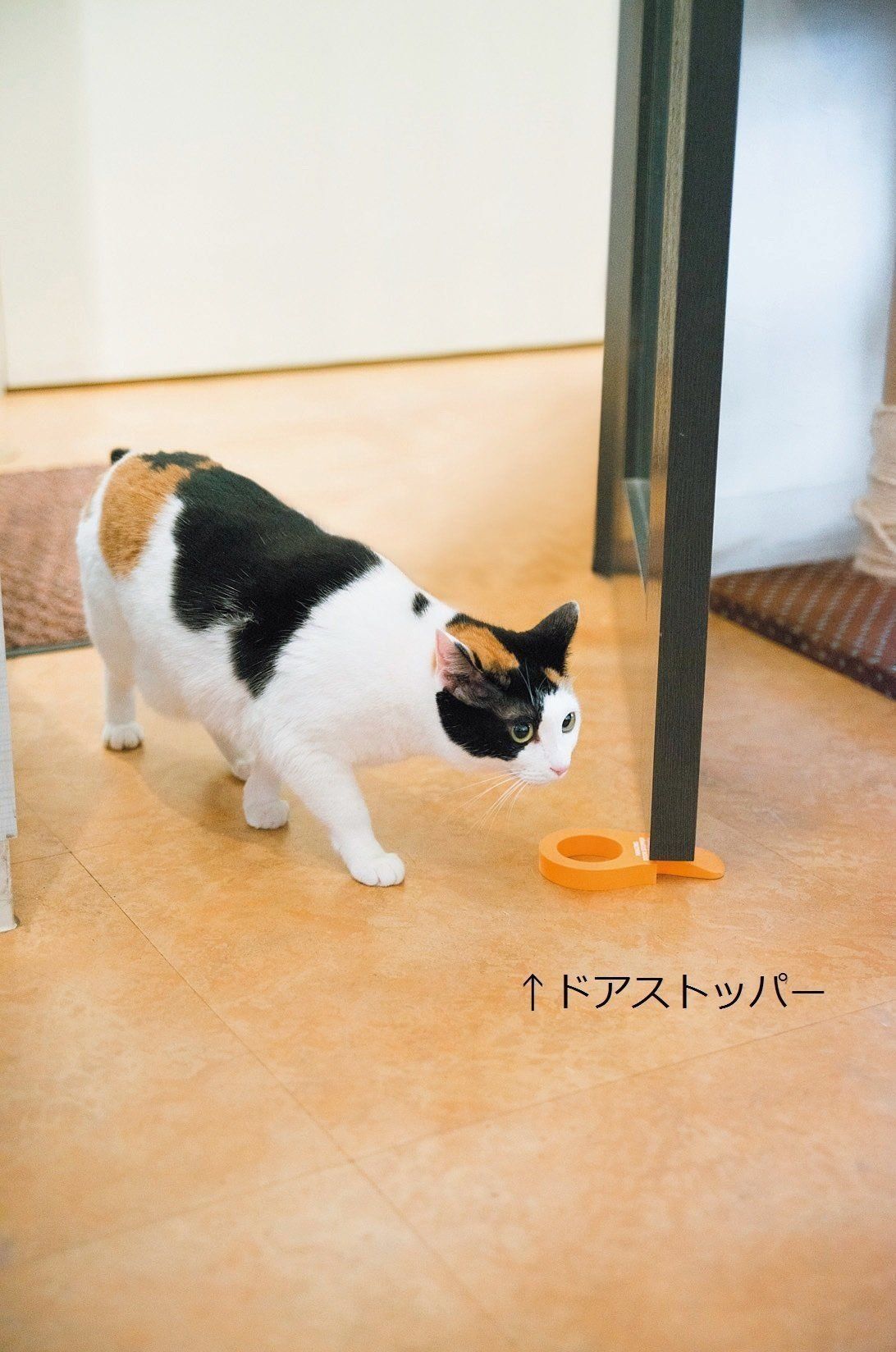 撮影／中川文作