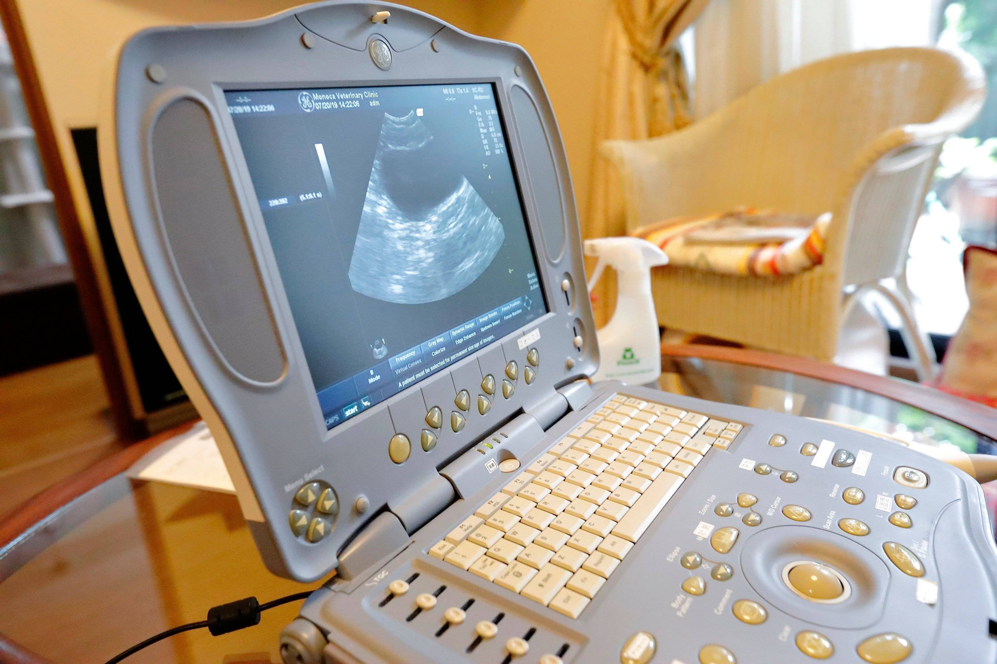 撮影／後藤さくら