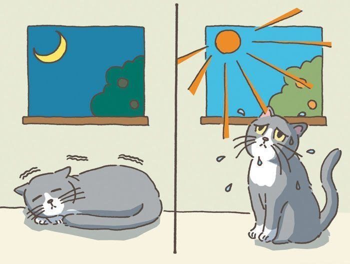 イラスト／野田映美