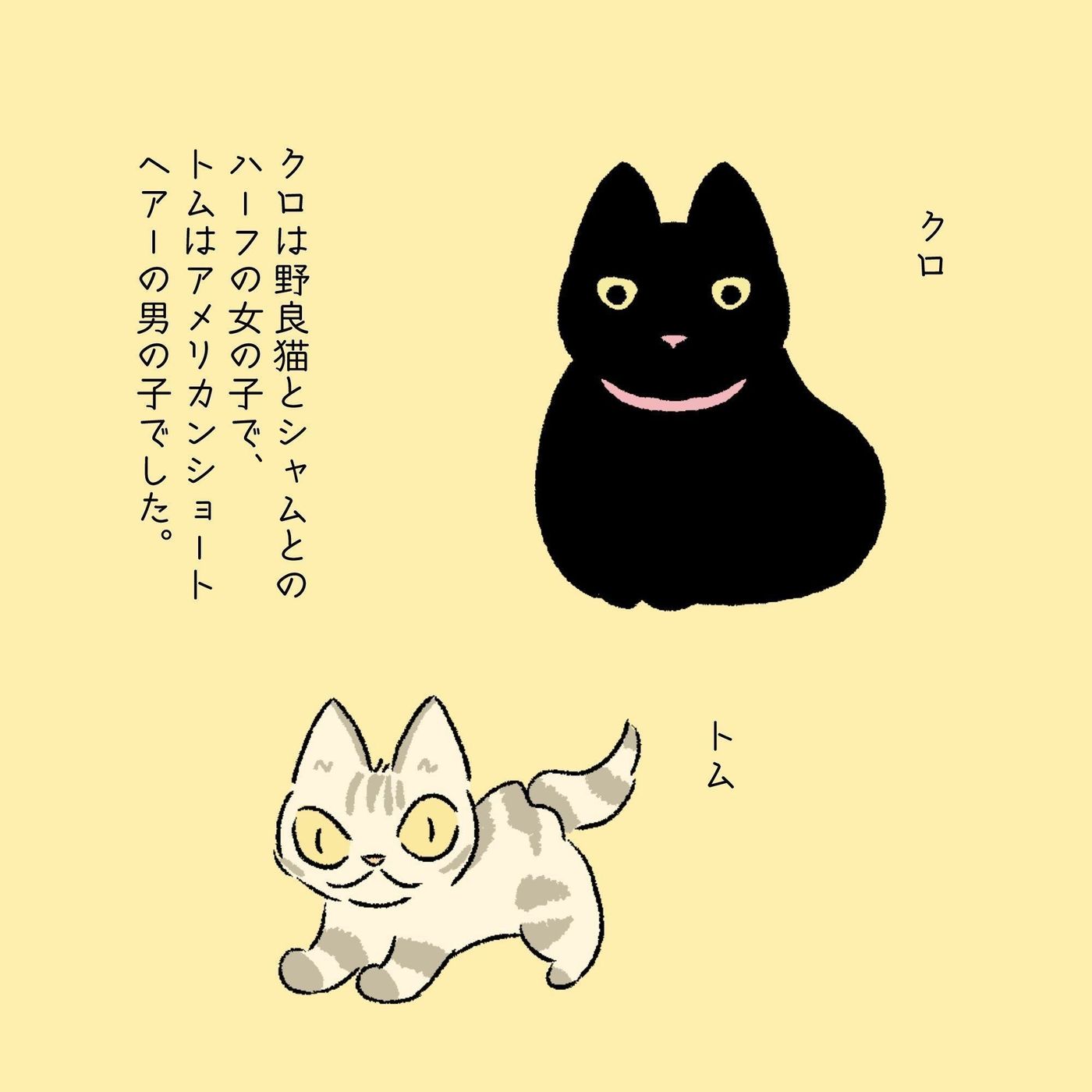 猫の名前に込めた思い 渋ネコししまるさん 5 ねこのきもちweb Magazine 猫の名前に込めた思い 渋ネコししまるさん 5 ねこのきもちweb Magazine