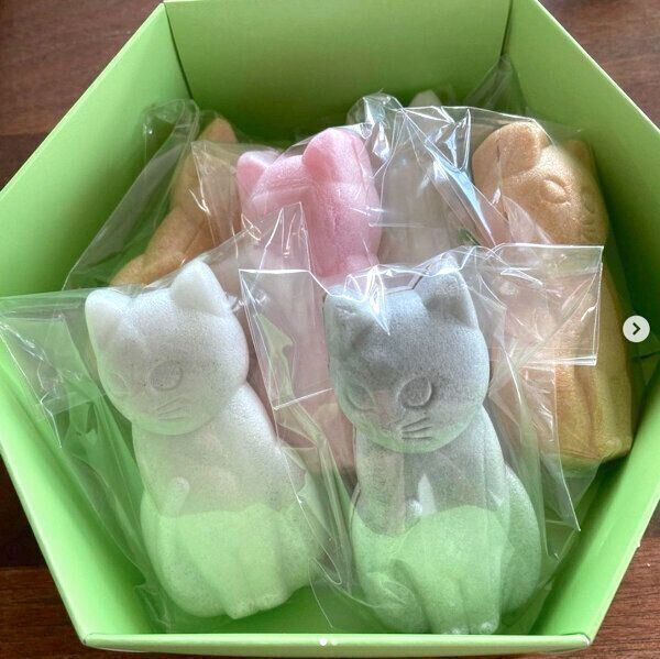 神楽坂梅花亭「神楽坂福来猫もなか」