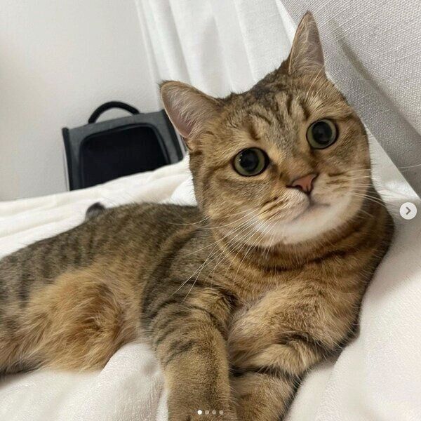 カメラ目線のみにらくん