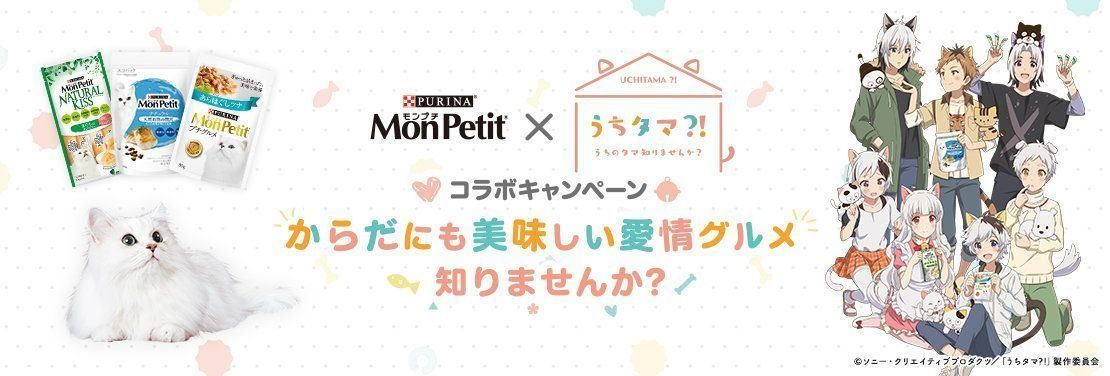 「モンプチ」x「うちタマ⁈~うちのタマしりませんか?」コラボキャンペーン