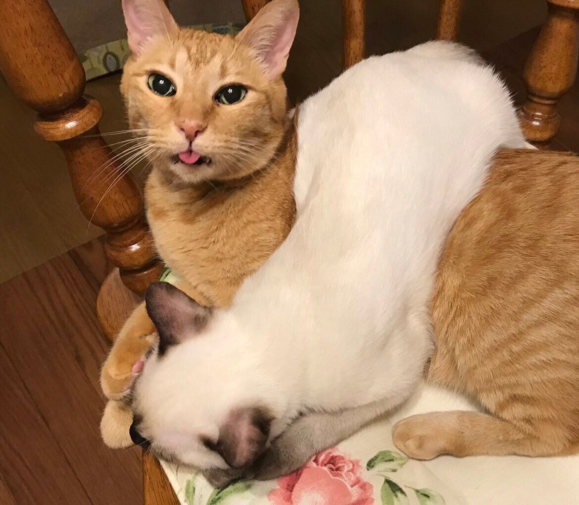 1号くんの上に乗るなみちゃん