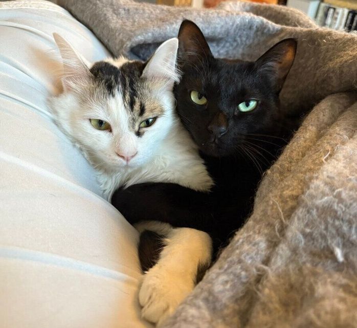 ギュッとくっつくウニくん、テンくん