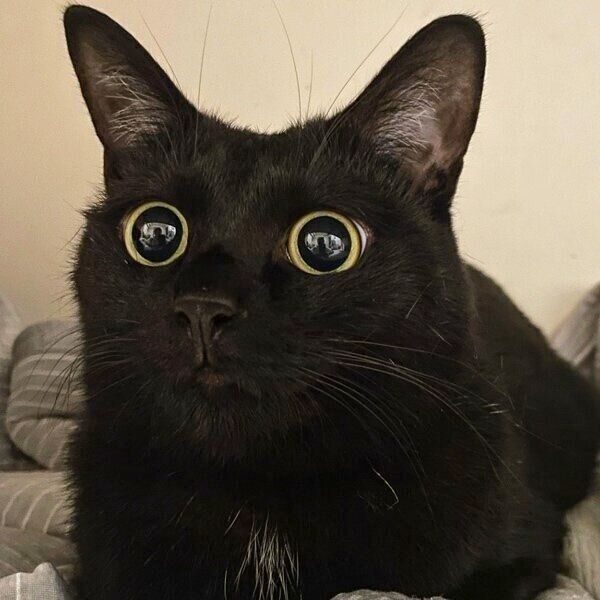 長男くんを看病するモナちゃん