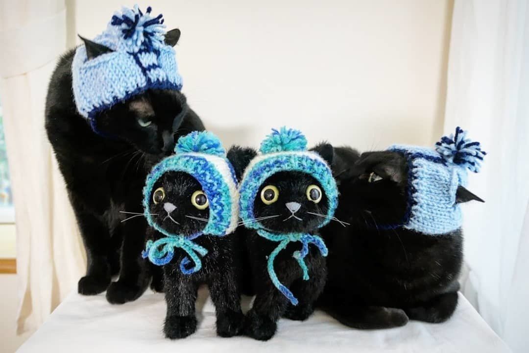 そっくりなぬいぐるみと