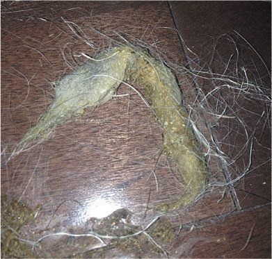 毛玉が混じった吐しゃ物