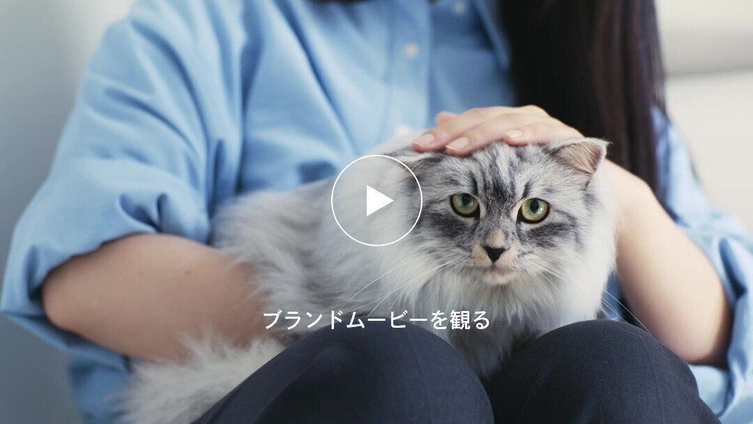 ブランドムービーを観る