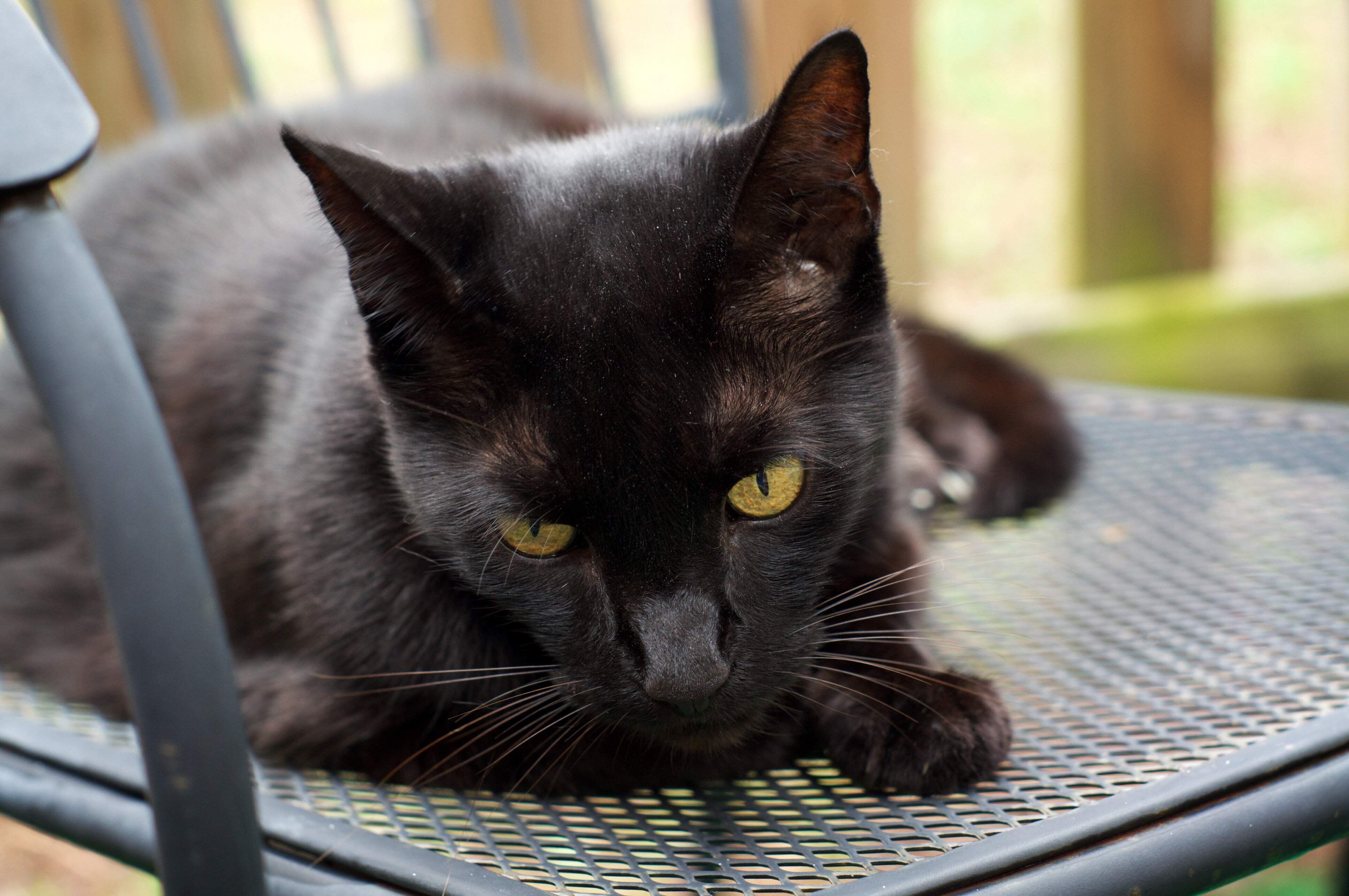 4e1a8a97-fc7a-4e9c-9e69-