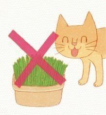 イラスト／浅羽ピピ