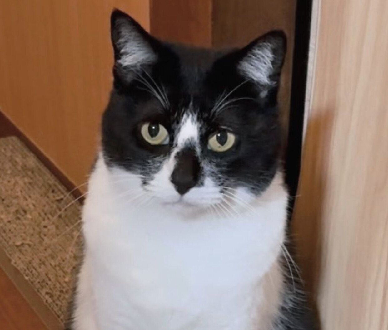 体重計に乗るまめさん