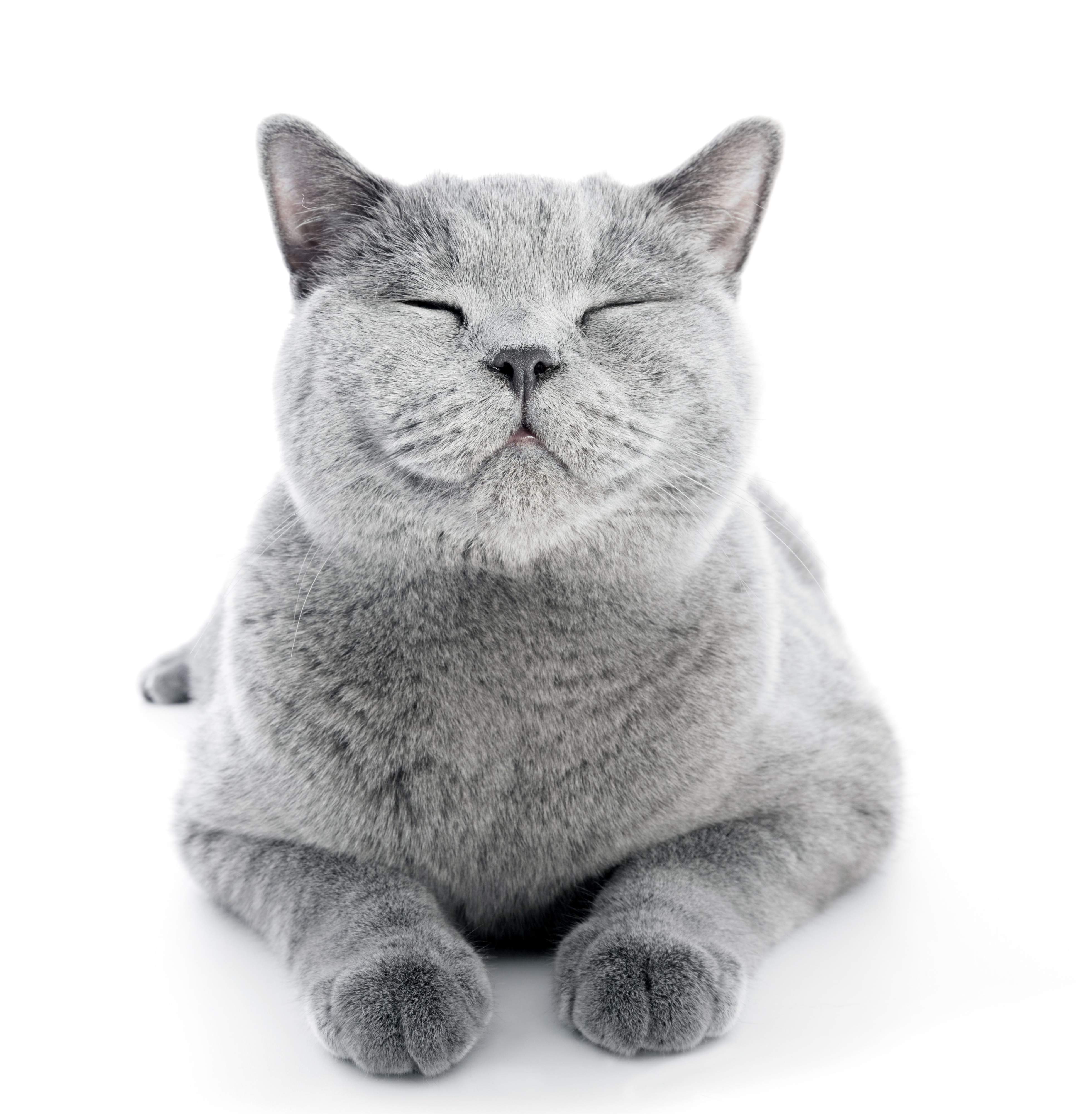 早い時期からシミュレーションを