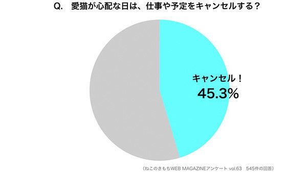 「愛猫のことが心配な日は、仕事や予定をキャンセルするか」調査