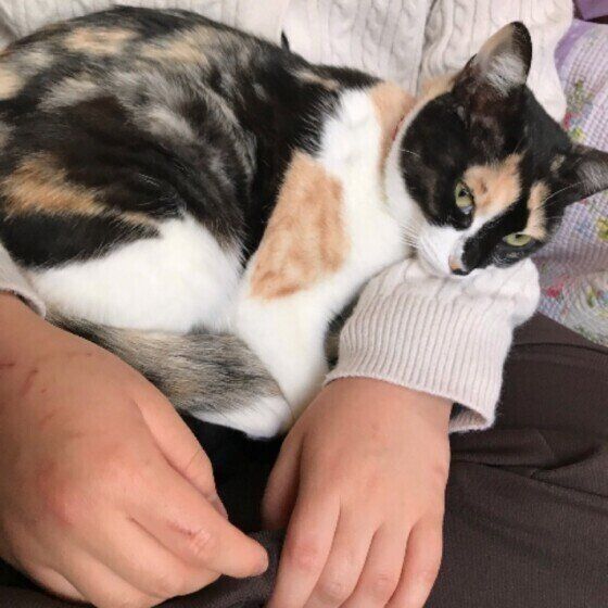 Mix（ミケ）のあるちゃん♪