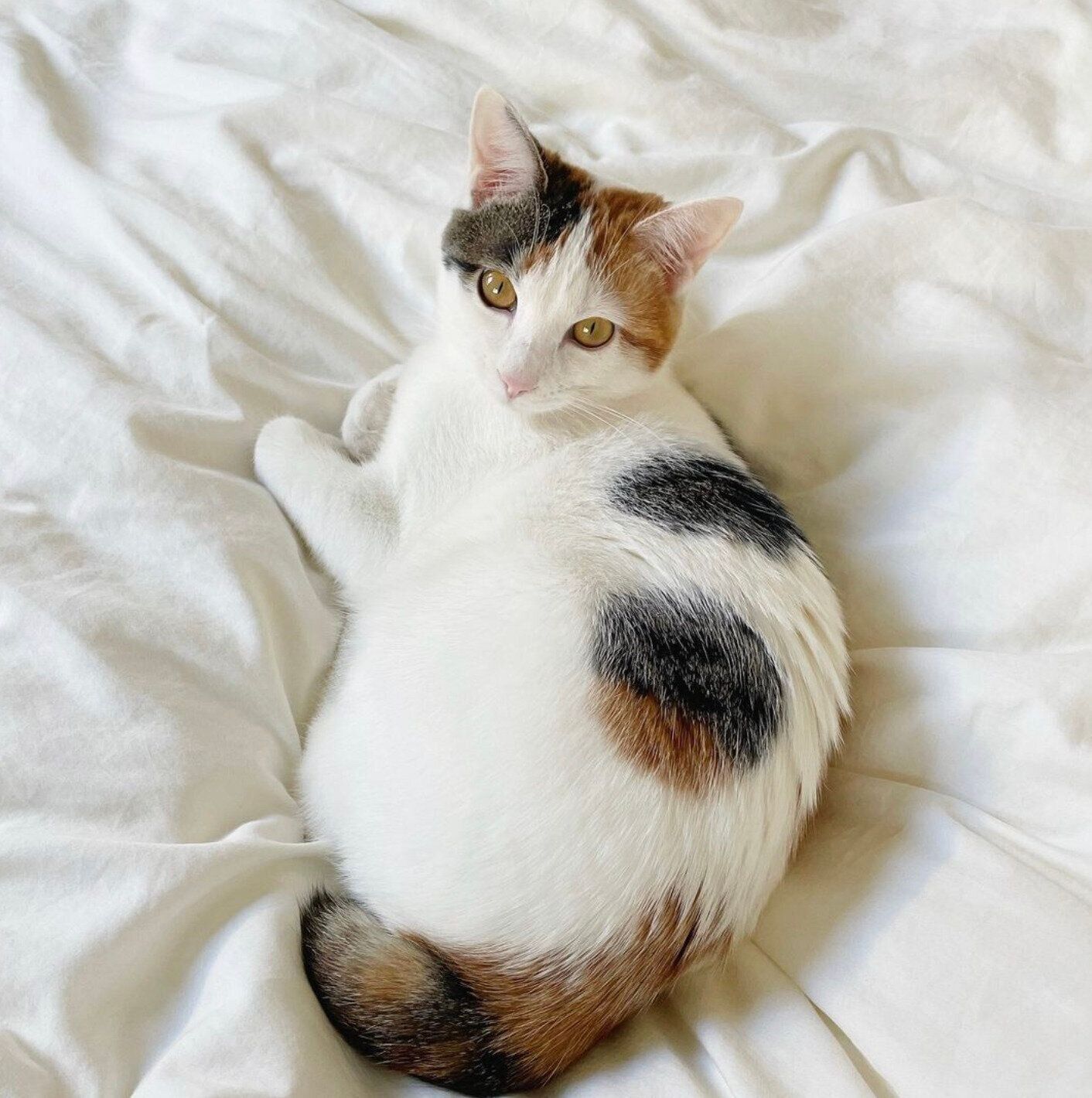 見つめるみづきちゃん