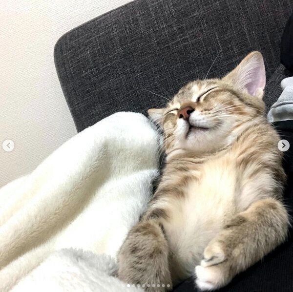 気持ちよさそうに眠るつむぎちゃん