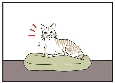「男の猫道」サムネイル