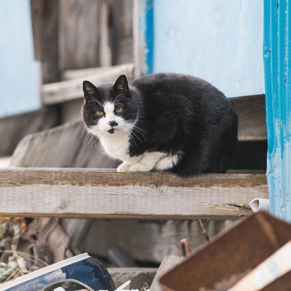 撮影／石原さくら