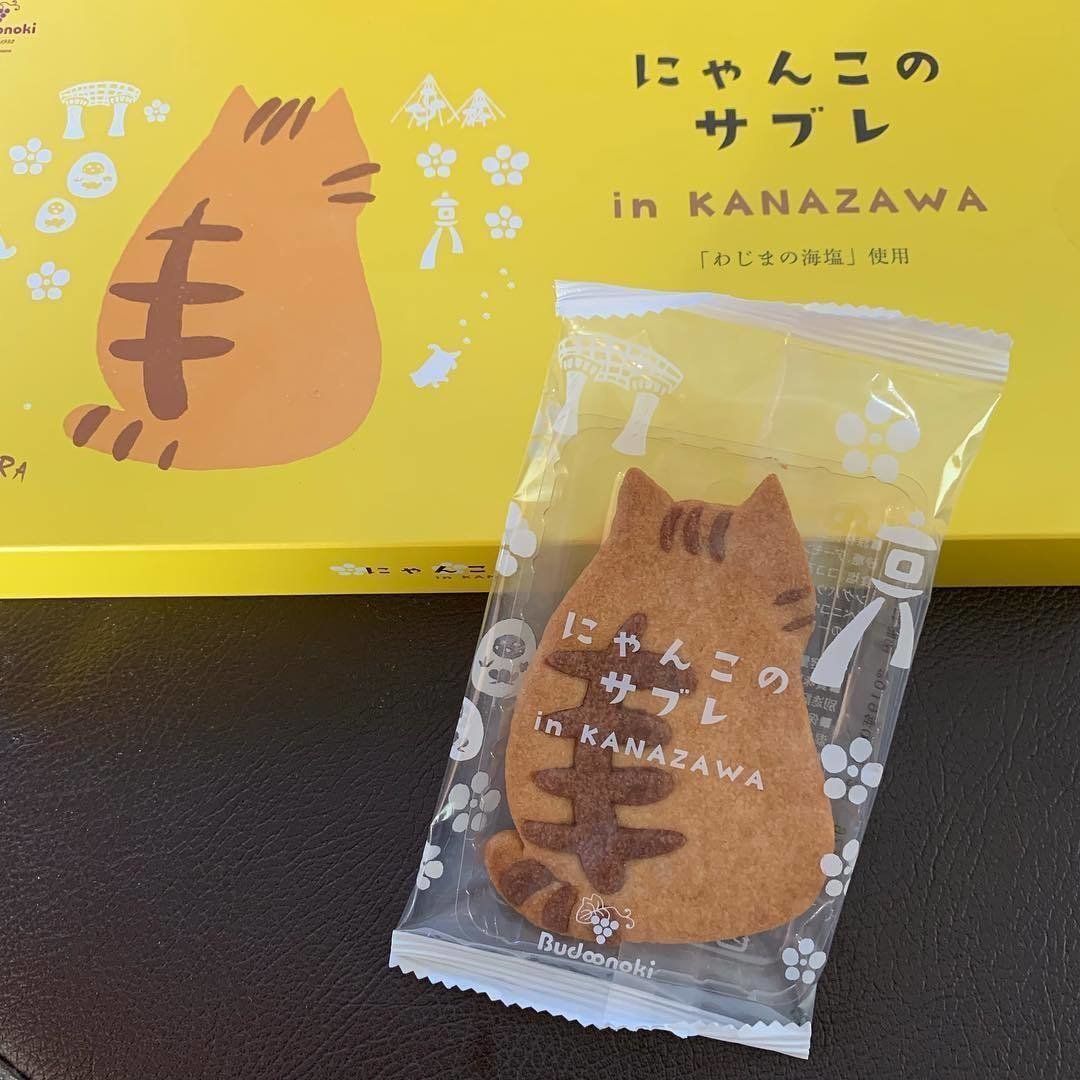 にゃんこのサブレ