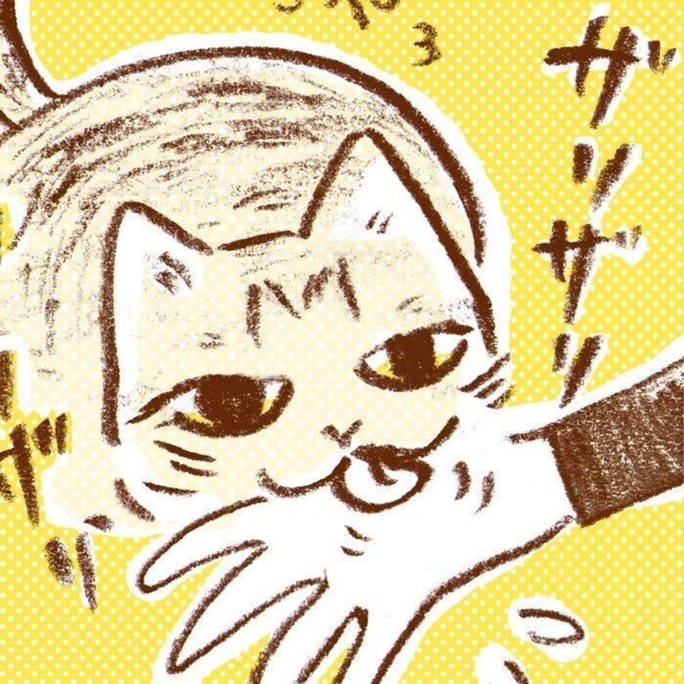 人の手足を噛んだあとにペロペロなめるとき 猫はこう思っていた しまねこぐぐの猫の本音事典 その6 ねこのきもちweb Magazine 人の手足を噛んだあとにペロペロなめるとき 猫はこう思っていた しまねこぐぐの猫の本音事典 その6 ねこのきもちweb Magazine