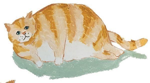 知っておきたい猫の栄養学