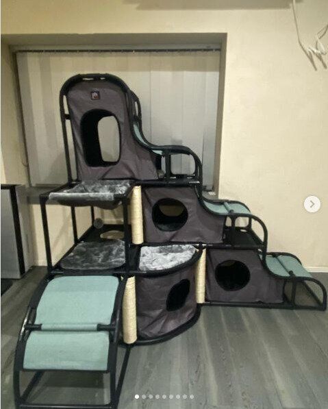 大型のキャットタワー