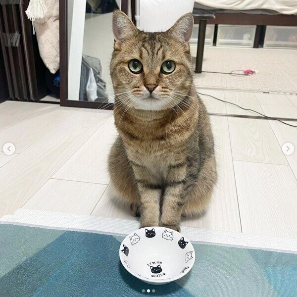 おやつには目がないみにらくん