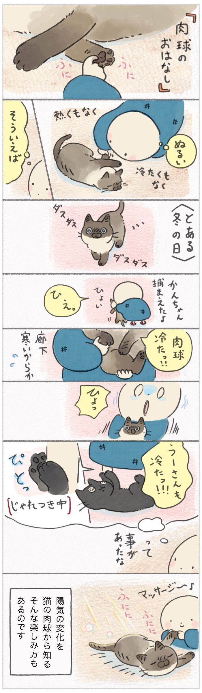 「ねこ連れ草」280話め