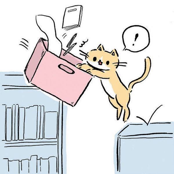 高いに場所をものを置く