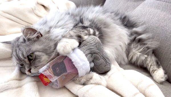 クリスマスのブーツを大事そうに抱きしめるこゆきちゃん