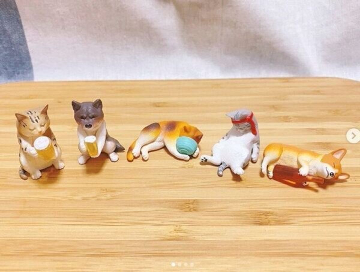 いつかまた みんなでお酒を楽しく飲める日までは カプセルトイ アフター5の動物たち で癒されよう ねこのきもちweb Magazine いつかまた みんなでお酒を楽しく飲める日までは カプセルトイ アフター5の動物たち で癒されよう ねこのきもちweb Magazine