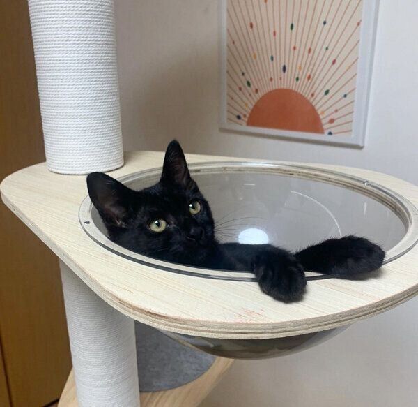 くつろぐジジくん