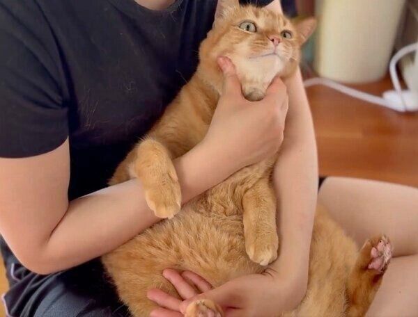 ママさんのもふもふ