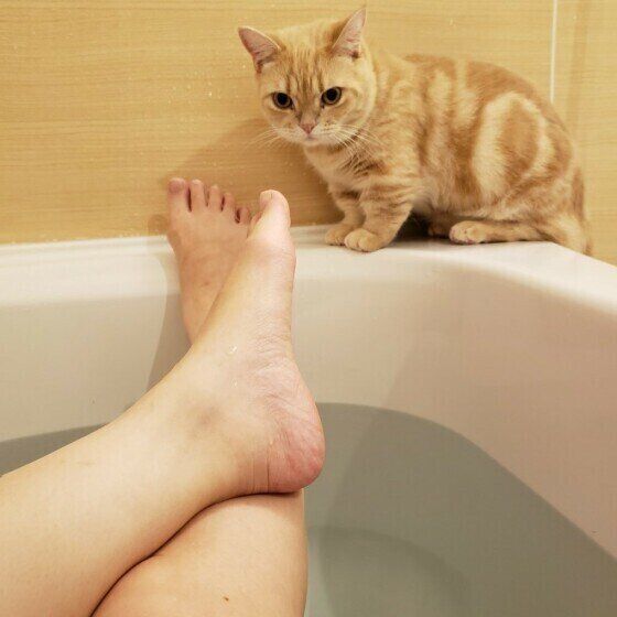 ミヌエットのマーティ君