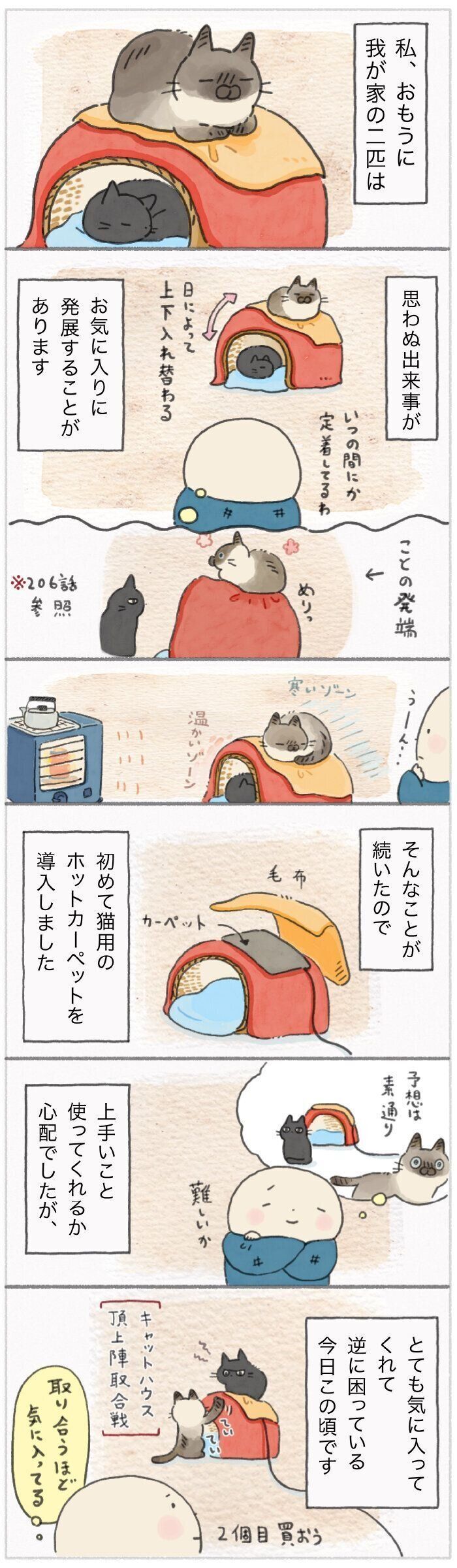 「ねこ連れ草」213話め