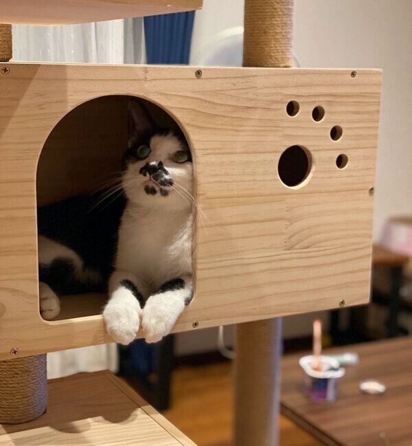 くつろぐホーリーくん