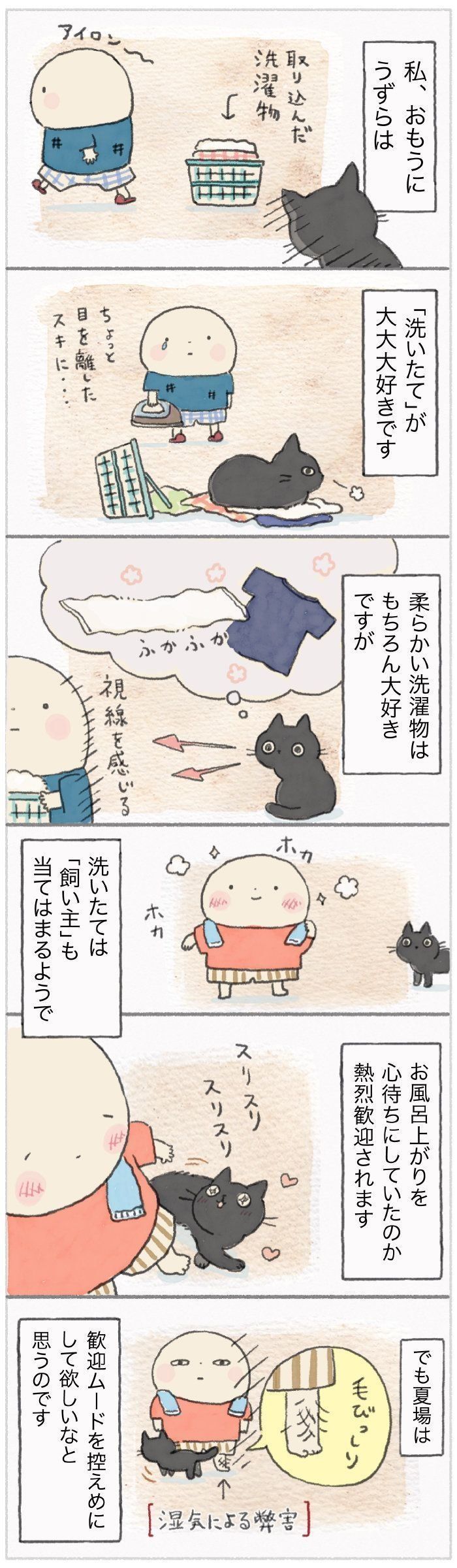 「ねこ連れ草」84話め