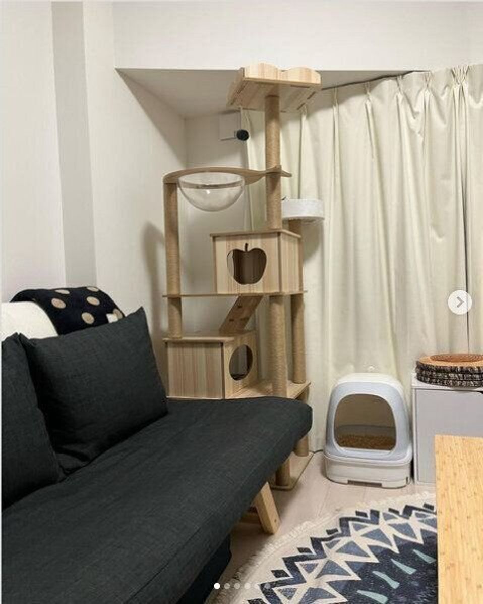 Snsで見つけた猫が喜ぶキャットタワー インテリアとしておしゃれなものや手作りのものも ねこのきもちweb Magazine Snsで見つけた猫が喜ぶキャットタワー インテリアとしておしゃれなものや手作りのものも ねこのきもちweb Magazine