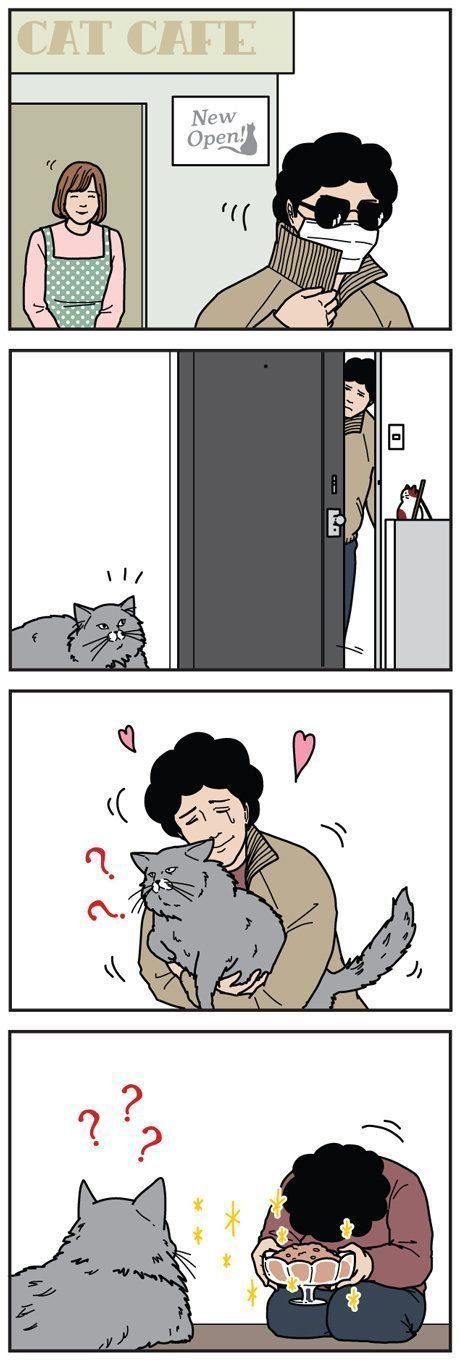 男の猫道