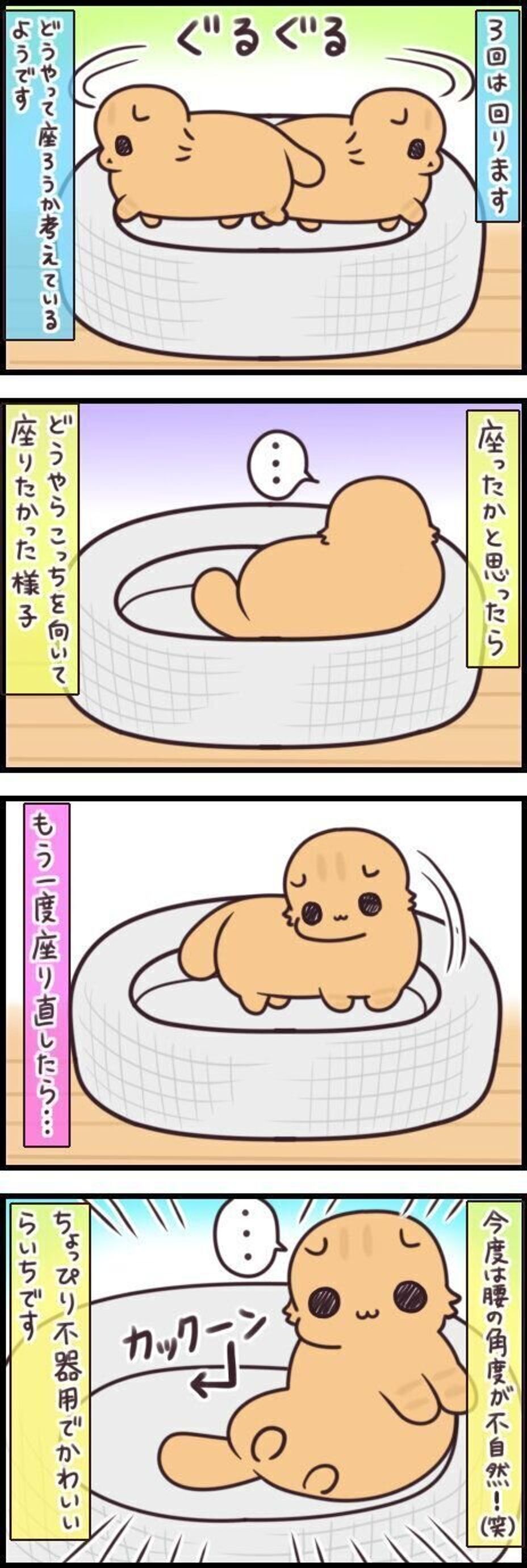 ぐるぐる回る派 すぐくつろぐ派 位置決めが器用な猫 不器用な猫 連載 もふもふスコたん 198 ねこのきもちweb Magazine ぐるぐる回る派 すぐくつろぐ派 位置決めが器用な猫 不器用な猫 連載 もふもふスコたん 198 ねこのきもちweb Magazine