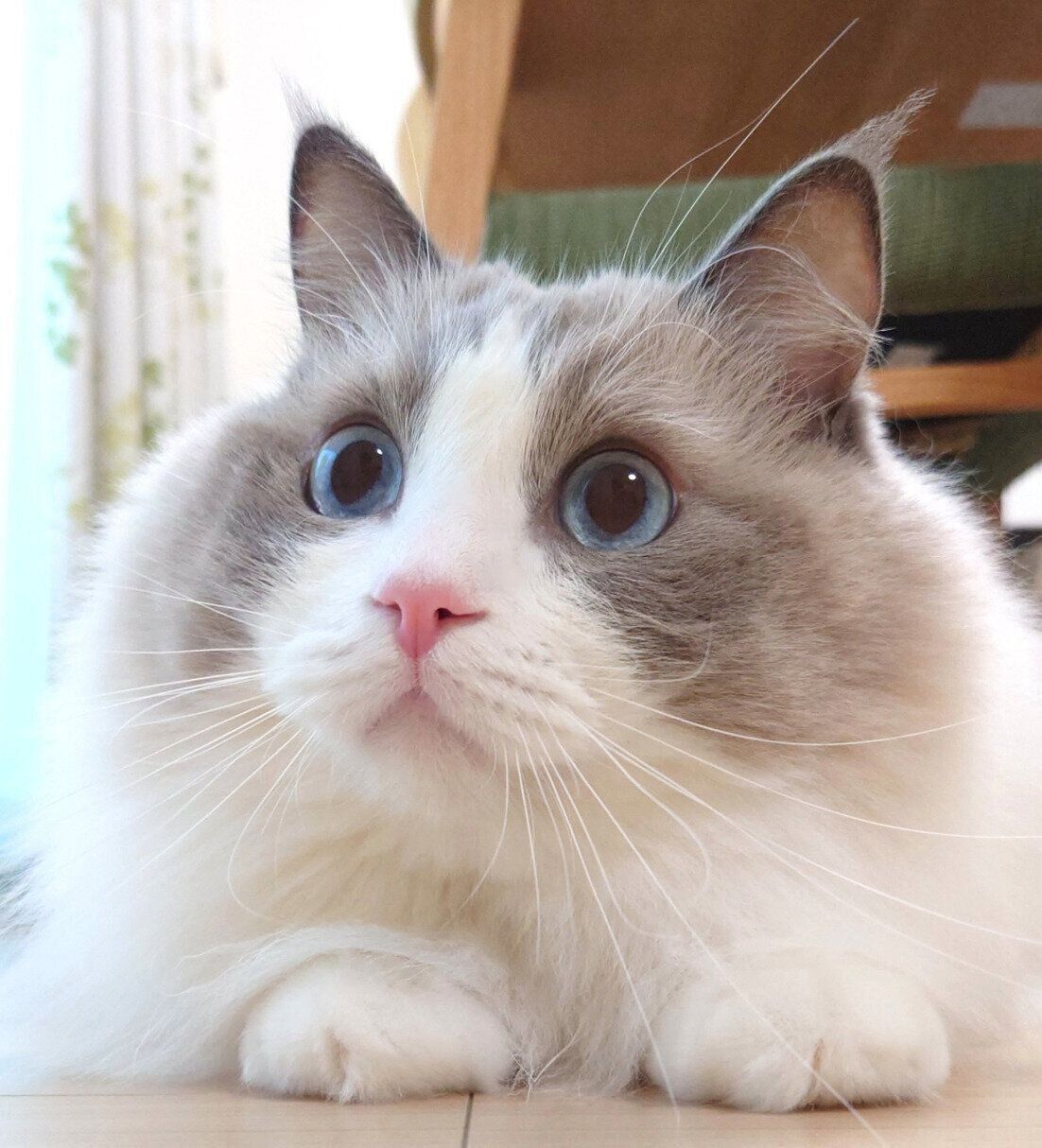 「楽しい！」の顔をするミントくん