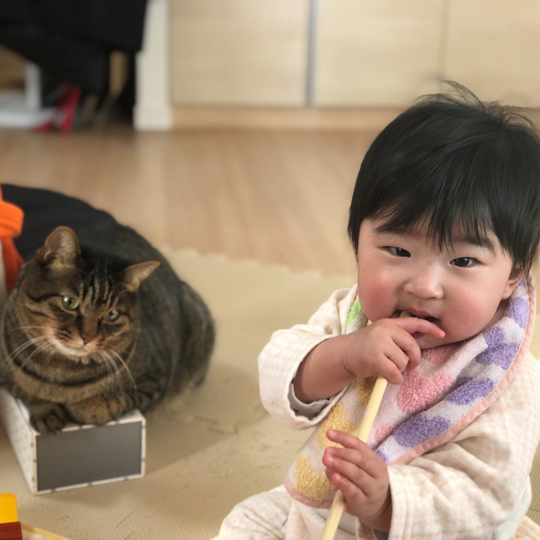 写真提供／古坂大魔王さん