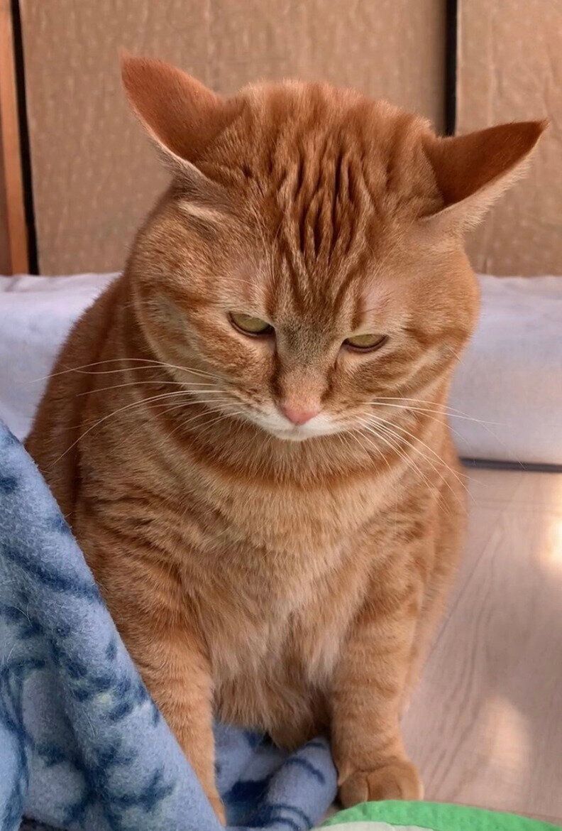ユニークな表情を見せるさっちゃん