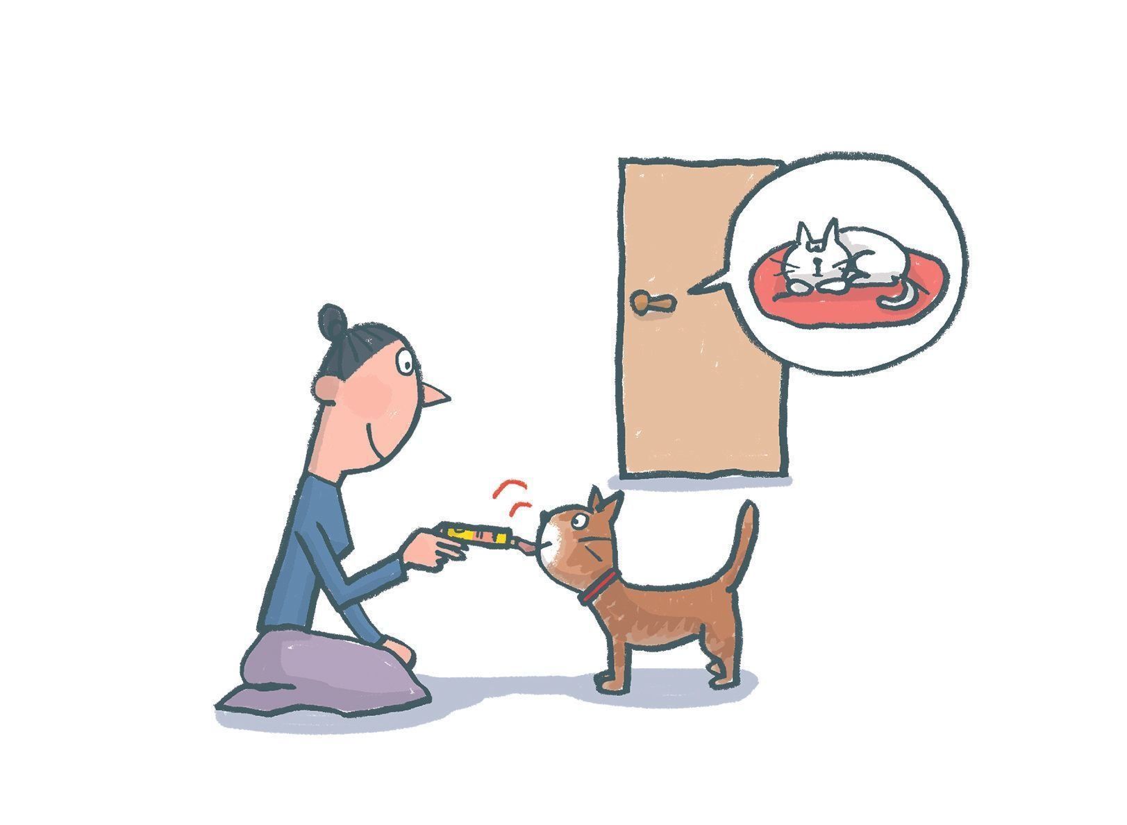 犬と猫の尿石症の診断と治療法 獣医師が解説】愛犬・愛猫になぜ尿石が多いのか？ | 犬の総合