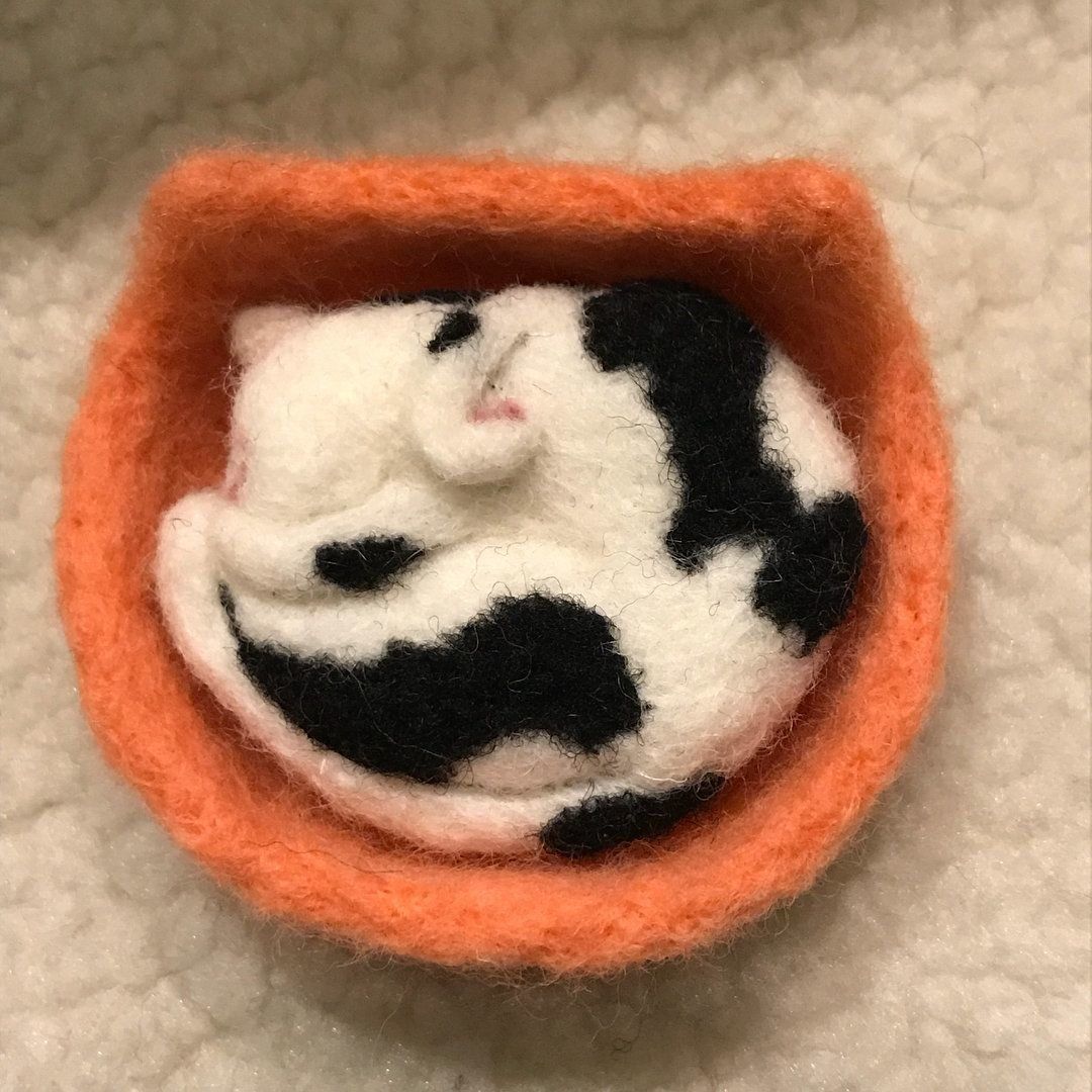 アンモニャイトブローチ