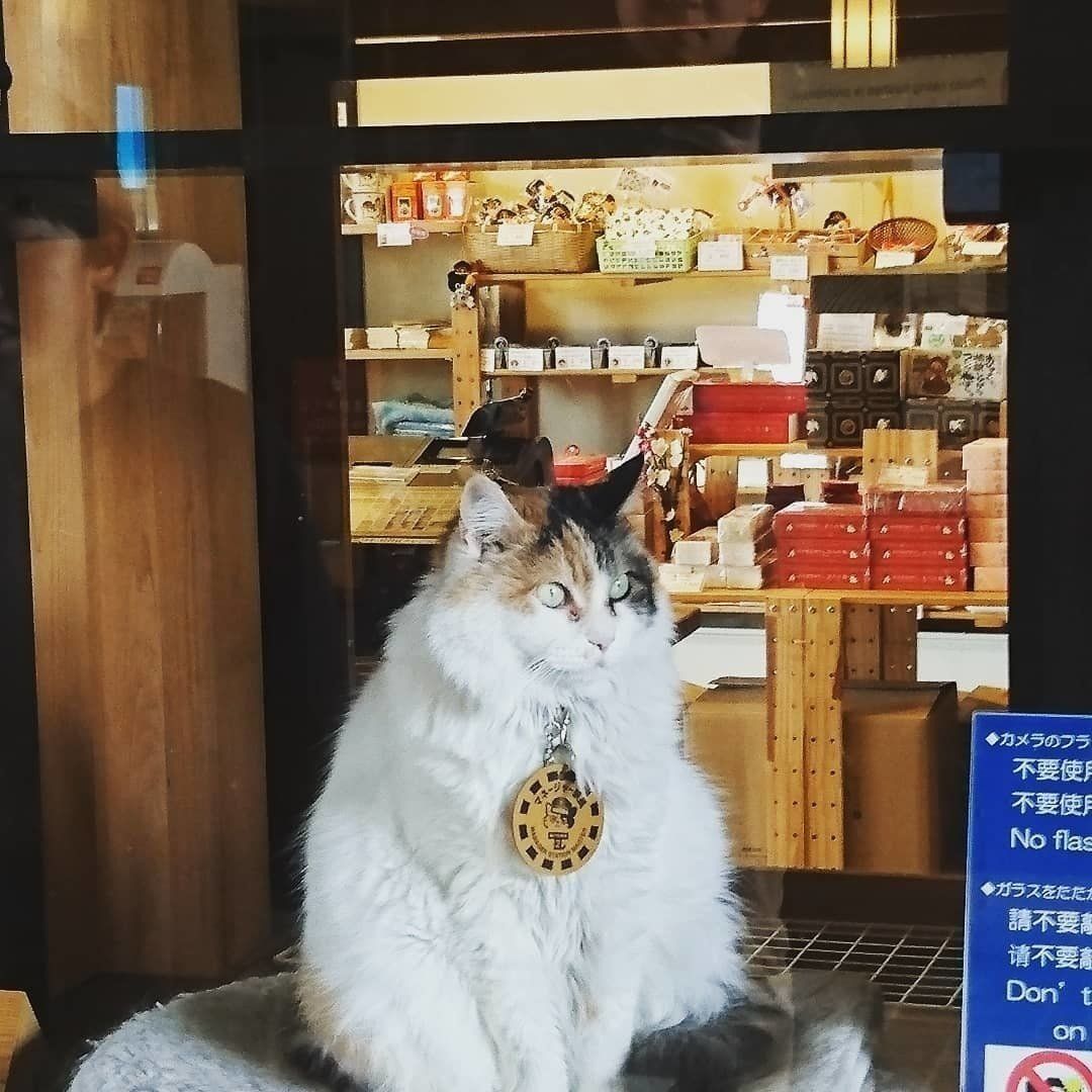 現在のにたま駅長