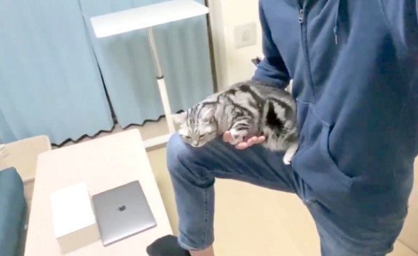 微妙な体勢でくつろぐアビーちゃん